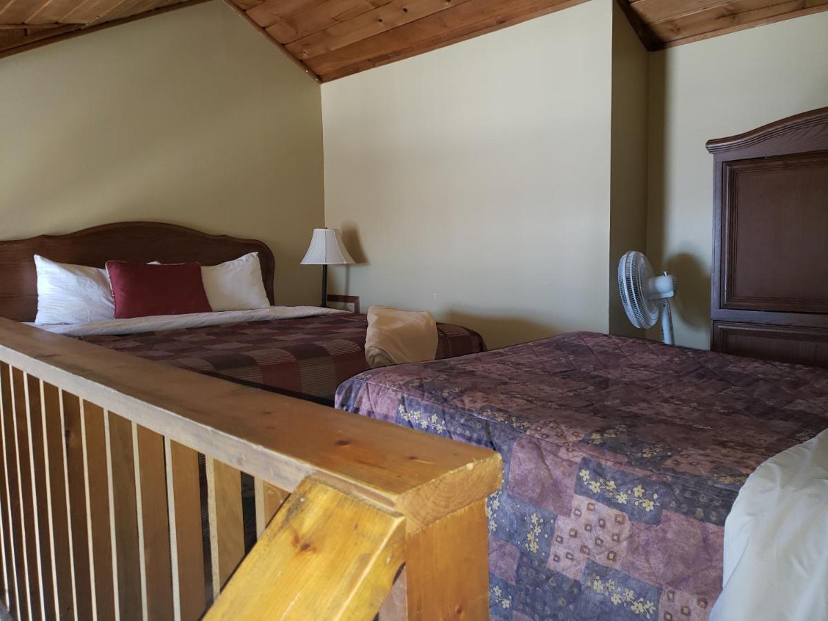 Auberge Champetre 세인트따델 외부 사진